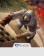 بازی Assassins Creed Mirage برای PS5 3