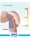 ماساژور مفصل گرین لاین مدل Joint Massager 4