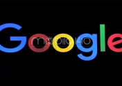 تست جدید کمپانی گوگل؛ امکان جست‌وجوی ویدیوی اینستاگرام و تیک‌تاک