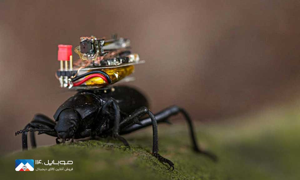 حشرات به دنیای دوربین سه‌بعدی وارد می‌شوند